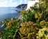 Durdle Door