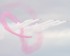 Farnborough International Air Show 2010