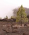 National Park El Teide, Tenerife