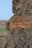 Kimmeridge Bay, Purbeck Heritage Coast
