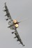 Farnborough International Air Show 2010