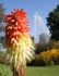 Forde Abbey Gardens, Chard