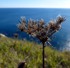 Durdle Door