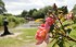 Shropshire Union Canal