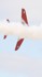 Farnborough International Air Show 2010