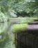 Llangollen Canal